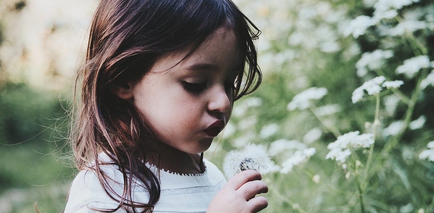 A little girl with long thin brown hair looks down and blows on a dandelion